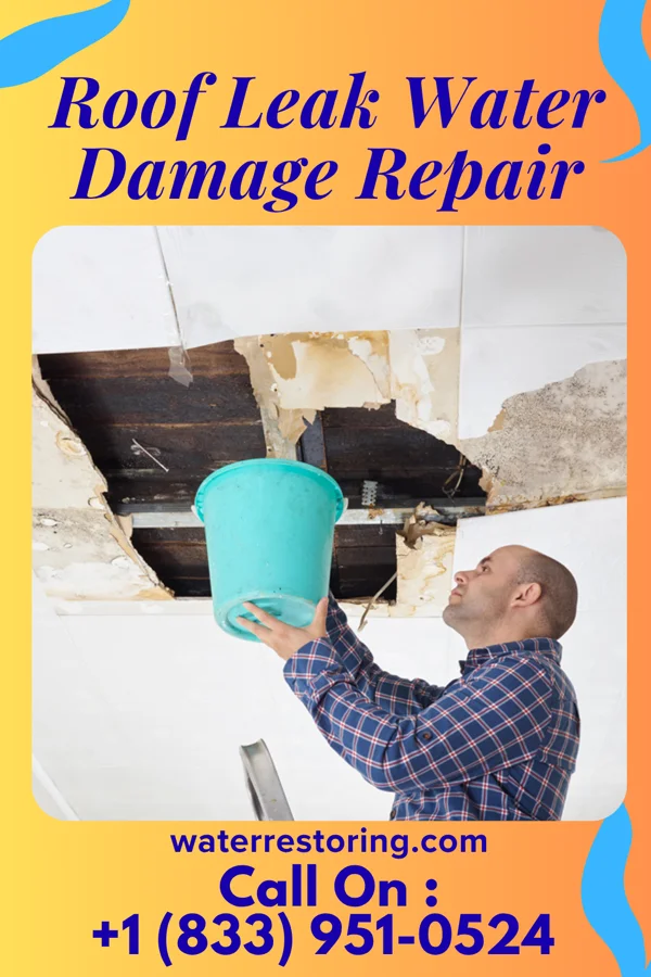 Roof Leak Water Damage Repair in Cunningham, KS